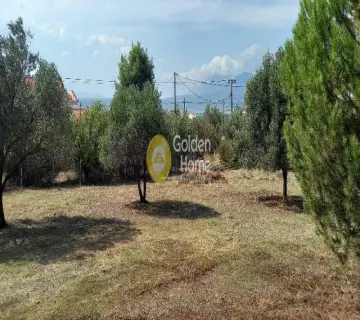 Residential 1800m<sup>2</sup> for sale photo 3836092
