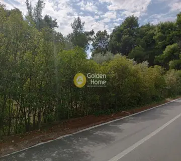 Residential 1430m<sup>2</sup> for sale photo 3842639