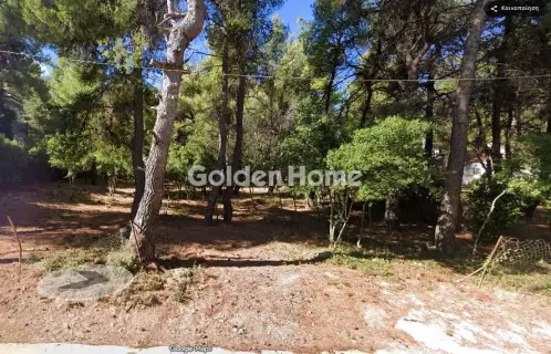 Residential 854m<sup>2</sup> for sale photo 5171426