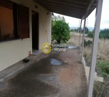 Αγροτεμάχιο 1172τ.μ. προς πώληση φωτογραφία 8