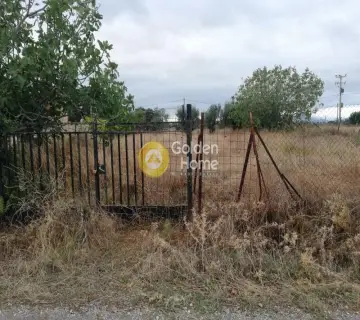 Αγροτεμάχιο 1172τ.μ. προς πώληση φωτογραφία 1