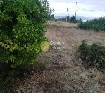 Αγροτεμάχιο 1172τ.μ. προς πώληση φωτογραφία 5