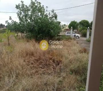 Αγροτεμάχιο 1172τ.μ. προς πώληση φωτογραφία 6