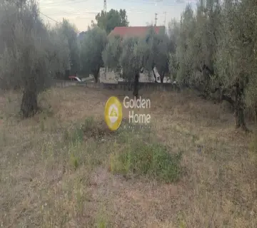 Residential 5390m<sup>2</sup> for sale photo 3829485