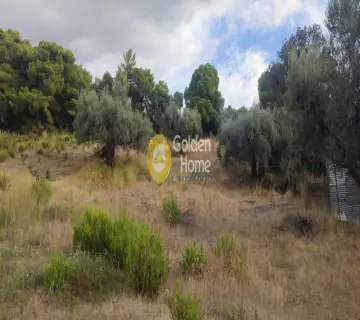Residential 5390m<sup>2</sup> for sale photo 3829488