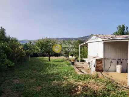 Οικιστικό 2000τ.μ. προς πώληση φωτογραφία 3839222