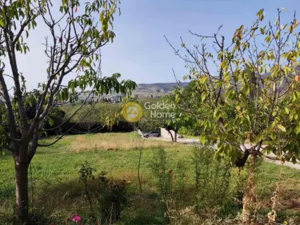 Οικιστικό 2000τ.μ. προς πώληση φωτογραφία 3839222