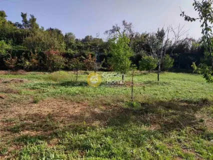 Οικιστικό 2000τ.μ. προς πώληση φωτογραφία 3839222
