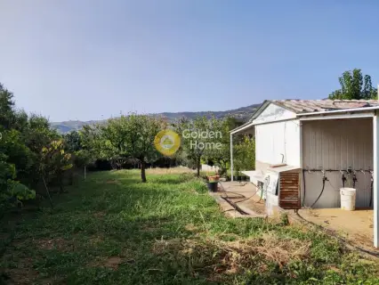 Οικιστικό 2000τ.μ. προς πώληση φωτογραφία 3839223