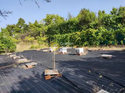 Οικιστικό 2000τ.μ. προς πώληση φωτογραφία 3839223