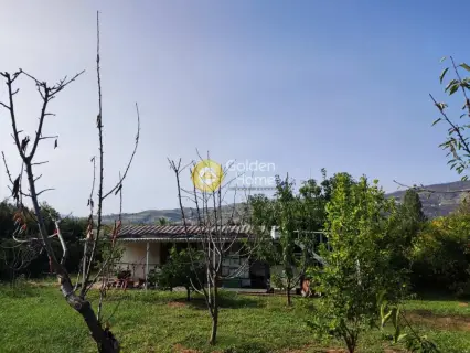 Οικιστικό 2000τ.μ. προς πώληση φωτογραφία 3839223