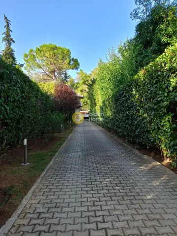 Μεζονέτα Εφαπτόμενη 290τ.μ. προς πώληση φωτογραφία 5