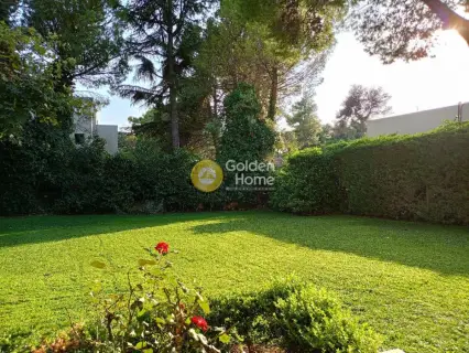 Μεζονέτα Εφαπτόμενη 290τ.μ. προς πώληση φωτογραφία 18