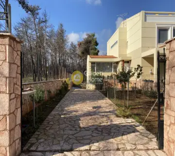 Μονοκατοικία 470τ.μ. προς πώληση φωτογραφία 3833240