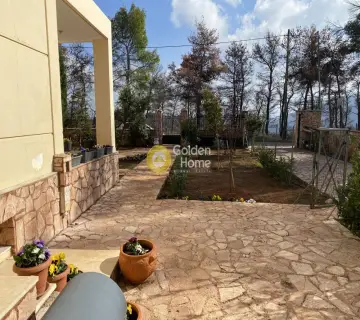 Μονοκατοικία 470τ.μ. προς πώληση φωτογραφία 3833241