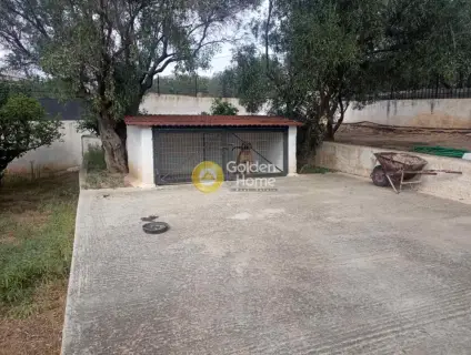 Μονοκατοικία 186τ.μ. προς πώληση φωτογραφία 7