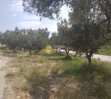 Residential 1840m<sup>2</sup> for sale photo 3
