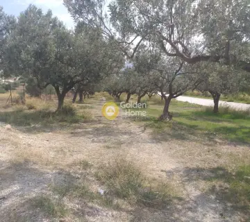 Residential 1840m<sup>2</sup> for sale photo 4