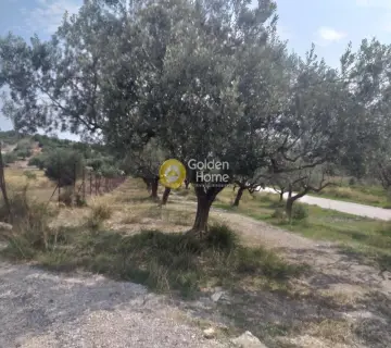 Residential 1840m<sup>2</sup> for sale photo 5