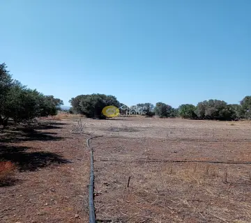 Parcel 2700m<sup>2</sup> for sale photo 1