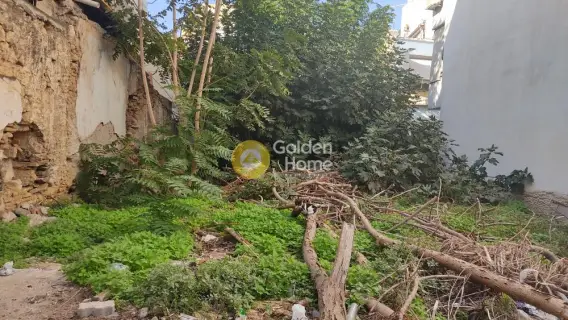 Golden Home Property Image