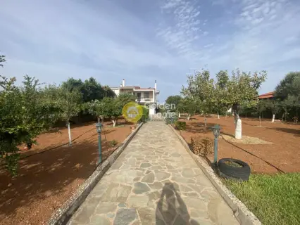 House 113m<sup>2</sup> for sale photo 3842604