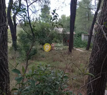 Μονοκατοικία 80τ.μ. προς πώληση φωτογραφία 3849849
