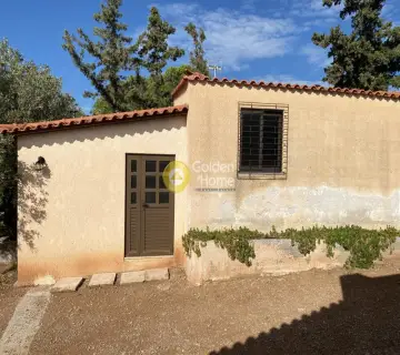 Independent Maisonette 235m<sup>2</sup> for sale photo 48