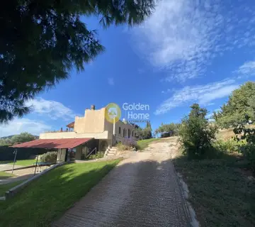 Golden Home Property Image