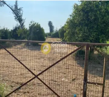 Αγροτεμάχιο 1158τ.μ. προς πώληση φωτογραφία 3847124