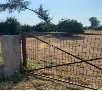 Αγροτεμάχιο 1158τ.μ. προς πώληση φωτογραφία 3847124