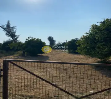 Αγροτεμάχιο 1158τ.μ. προς πώληση φωτογραφία 3847124