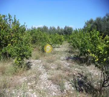 Parcel 1400m<sup>2</sup> for sale photo 3846917