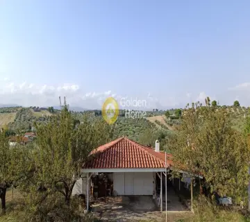 Golden Home Property Image