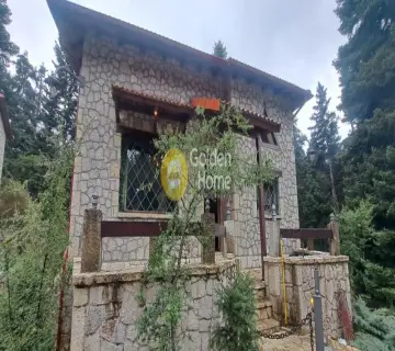 独立复式小屋 125m<sup>2</sup> for rent photo 3