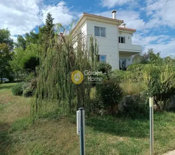 Μονοκατοικία 280τ.μ. προς πώληση φωτογραφία 51
