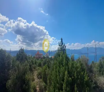 Οικιστικό 1005τ.μ. προς πώληση φωτογραφία 3