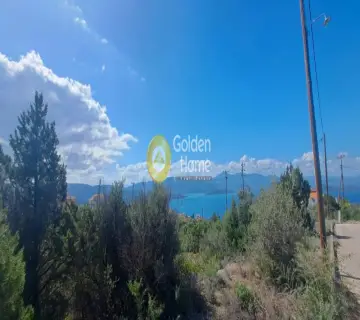 Οικιστικό 1005τ.μ. προς πώληση φωτογραφία 4