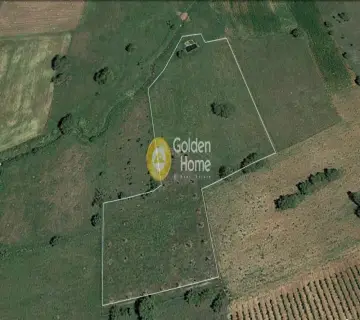 Parcel 10000m<sup>2</sup> for rent photo 3852501