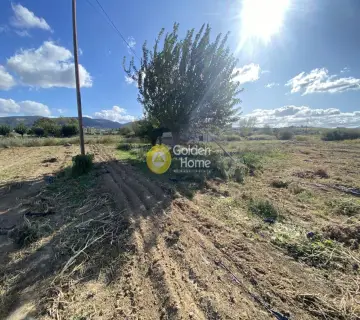 Parcel 7500m<sup>2</sup> for rent photo 3854452