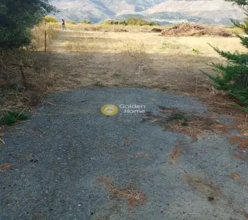 Οικιστικό 1030τ.μ. προς πώληση φωτογραφία 5