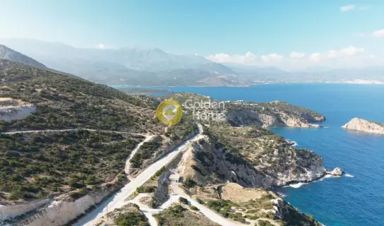 Αγροτεμάχιο 9399τ.μ. προς πώληση φωτογραφία 3