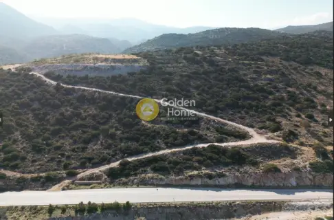 Αγροτεμάχιο 9399τ.μ. προς πώληση φωτογραφία 5