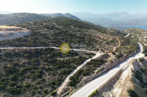 Αγροτεμάχιο 9399τ.μ. προς πώληση φωτογραφία 6