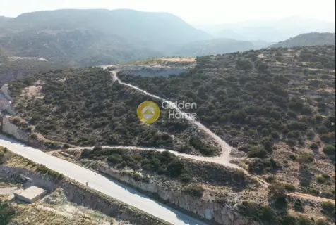 Αγροτεμάχιο 9399τ.μ. προς πώληση φωτογραφία 7