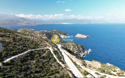 Αγροτεμάχιο 9399τ.μ. προς πώληση φωτογραφία 4