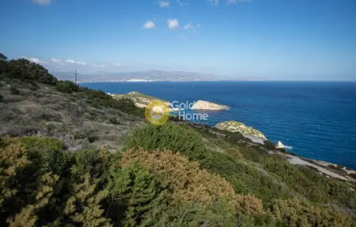 Αγροτεμάχιο 9399τ.μ. προς πώληση φωτογραφία 9