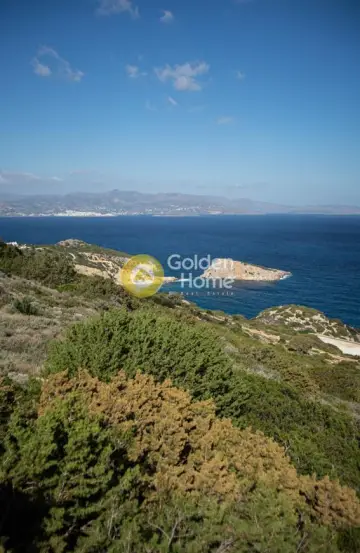 Αγροτεμάχιο 9399τ.μ. προς πώληση φωτογραφία 8