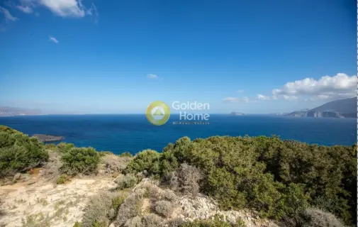 Αγροτεμάχιο 9399τ.μ. προς πώληση φωτογραφία 11