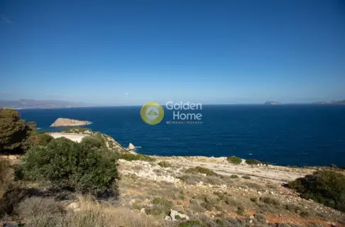 Αγροτεμάχιο 9399τ.μ. προς πώληση φωτογραφία 14